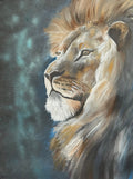 Mircre8s "Lion's pride"