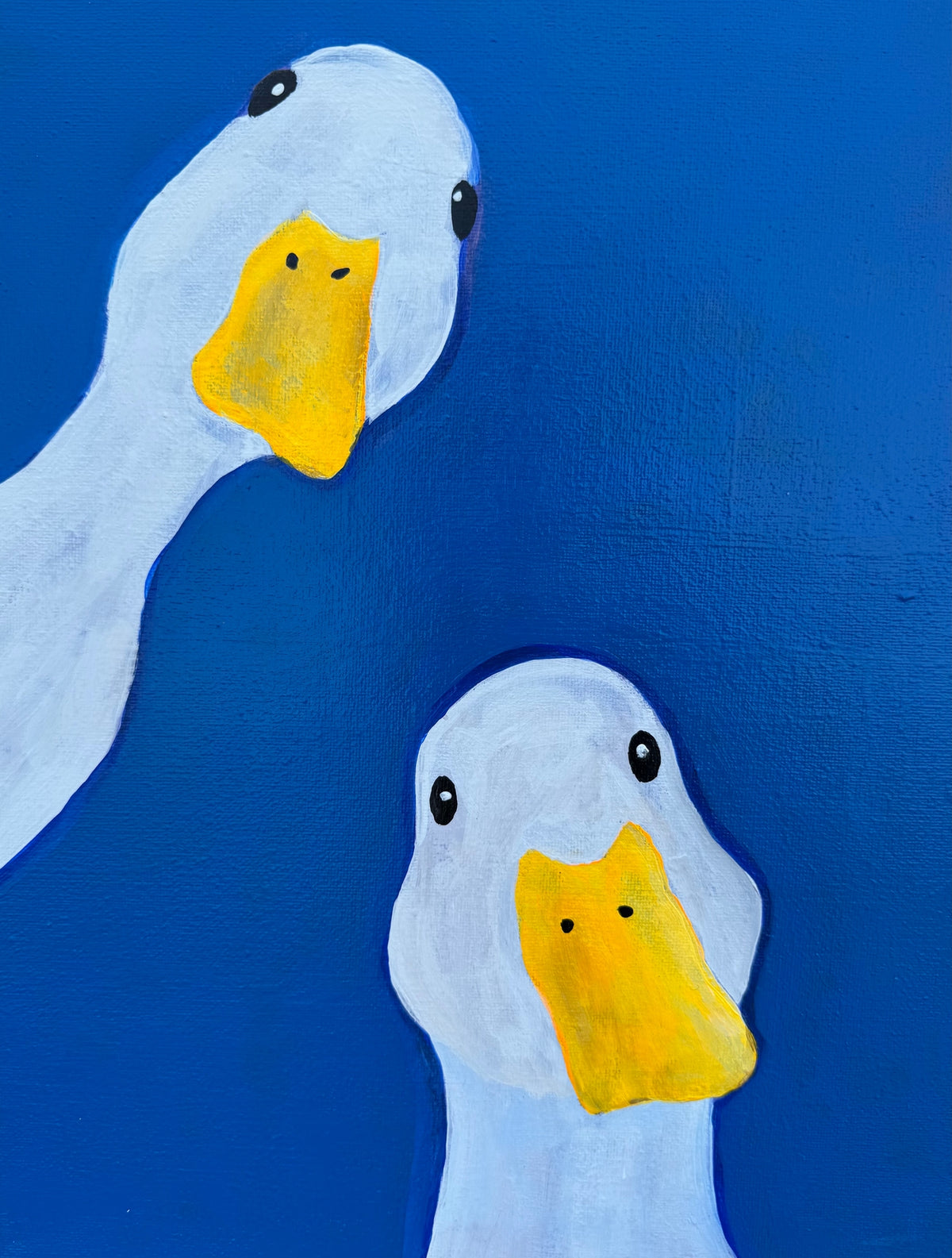 Mircre8s "Sitting ducks"