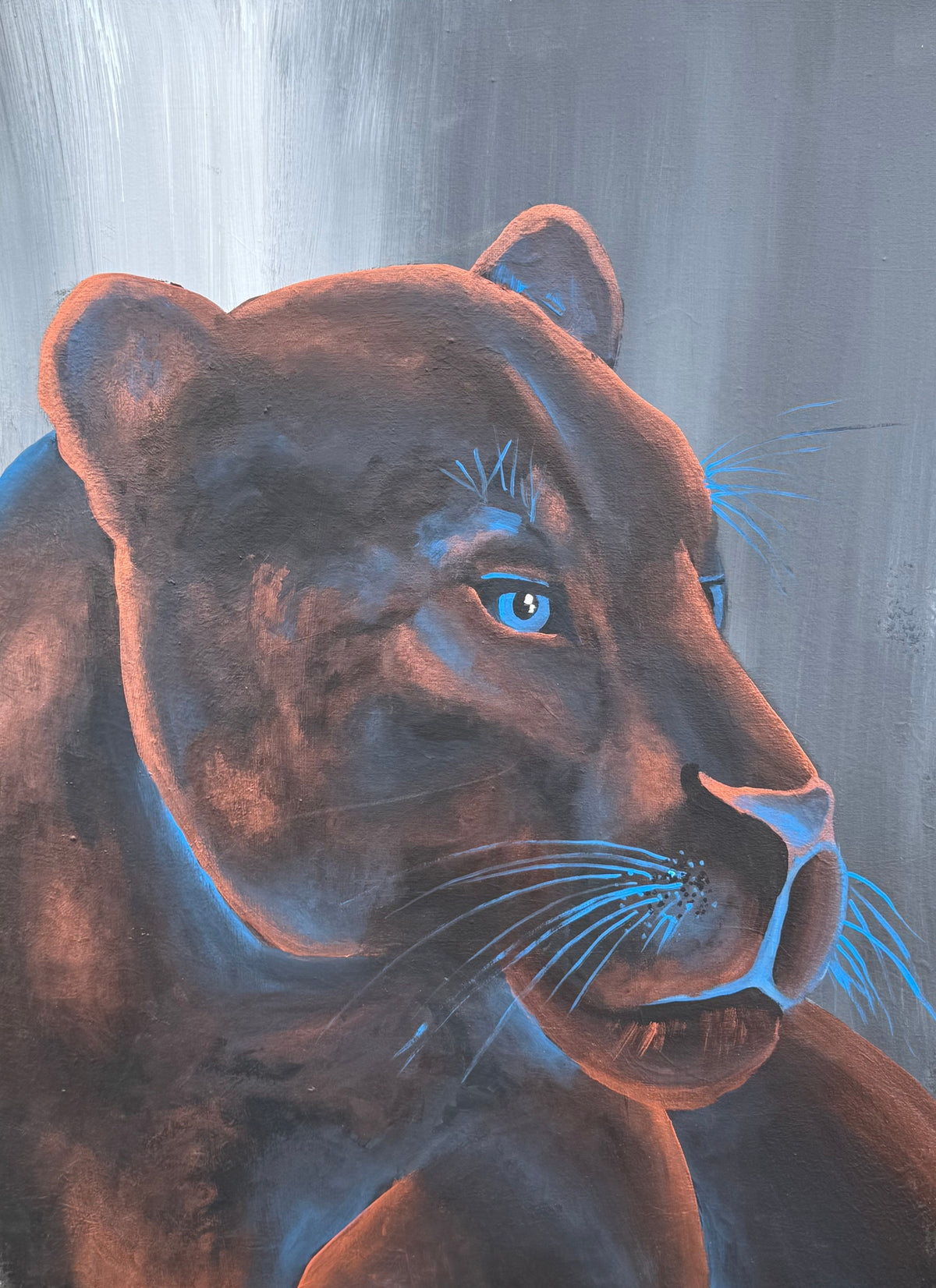 Mircre8s "Black Jaguar"