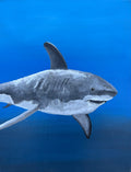 Mircre8s "Swimming Shark"